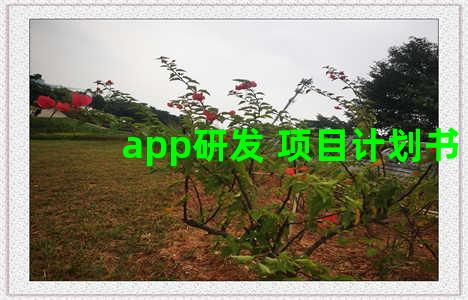 app研发 项目计划书